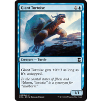 Giant Tortoise - EMA