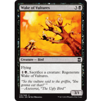 Wake of Vultures - EMA