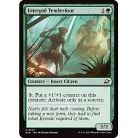 Intrepid Tenderfoot - EOE