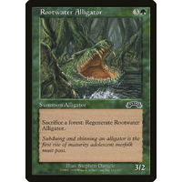 Rootwater Alligator - EXO