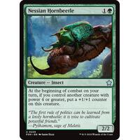 Nessian Hornbeetle - FDN