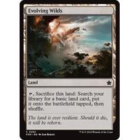 Evolving Wilds FOIL - FDN