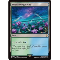 Overflowing Basin - FIC