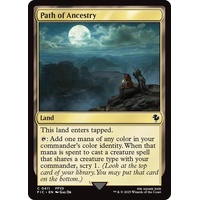 Path of Ancestry - FIC