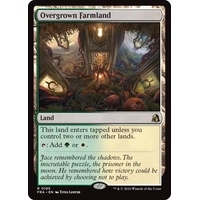 Overgrown Farmland - FRA