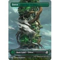 Forest (Borderless) (0396) - FRA