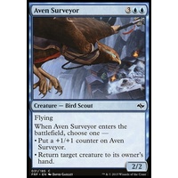 Aven Surveyor - FRF