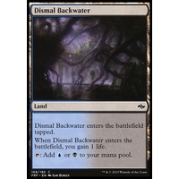 Dismal Backwater - FRF