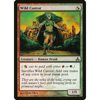 Wild Cantor - GPT