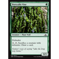 Portcullis Vine - GRN