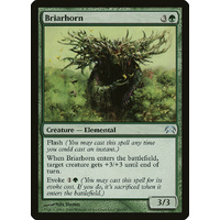 Briarhorn - HOP
