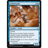 Aerial Guide FOIL - HOU