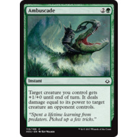 Ambuscade FOIL - HOU