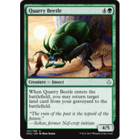 Quarry Beetle FOIL - HOU