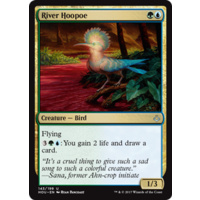 River Hoopoe FOIL - HOU
