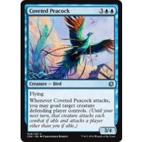 Coveted Peacock - CN2