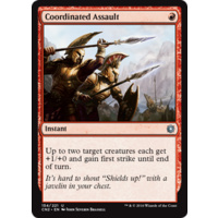 Coordinated Assault - CN2