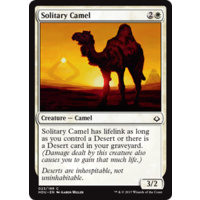 Solitary Camel - HOU