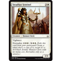 Steadfast Sentinel - HOU