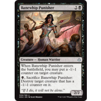 Banewhip Punisher - HOU