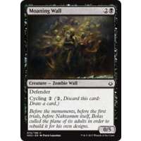 Moaning Wall - HOU