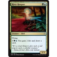 River Hoopoe - HOU