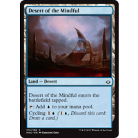 Desert of the Mindful - HOU