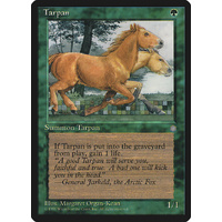 Tarpan - ICE