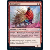 Porcuparrot - IKO