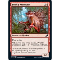 Prickly Marmoset - IKO