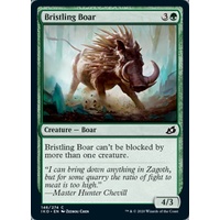 Bristling Boar - IKO