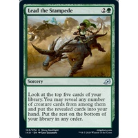 Lead the Stampede - IKO