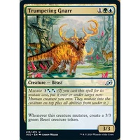 Trumpeting Gnarr - IKO