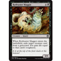 Rotfeaster Maggot - IMA