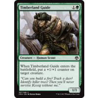 Timberland Guide - IMA