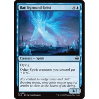 Battleground Geist - INR