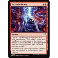 Seize the Storm - INR