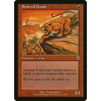 Scarred Puma - INV