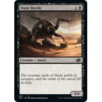 Dune Beetle - J22
