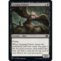 Gorging Vulture - J22