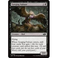 Gorging Vulture - F25