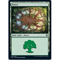 Forest - JMP