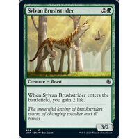 Sylvan Brushstrider - JMP