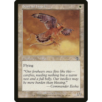 Suntail Hawk - JUD