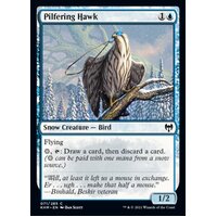 Pilfering Hawk - KHM