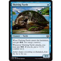 Thriving Turtle - KLD