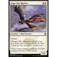 Sage-Eye Harrier - KTK