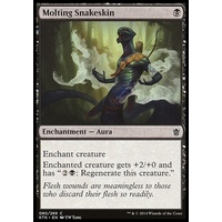Molting Snakeskin - KTK