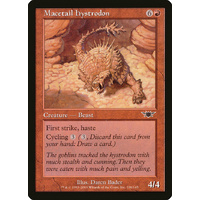 Macetail Hystrodon - LGN