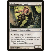 Goldmeadow Harrier - LRW